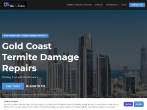 Termite Repair